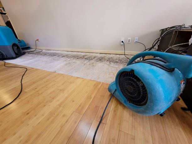 Professional Emergency Water Damage technician working in Lima, OH